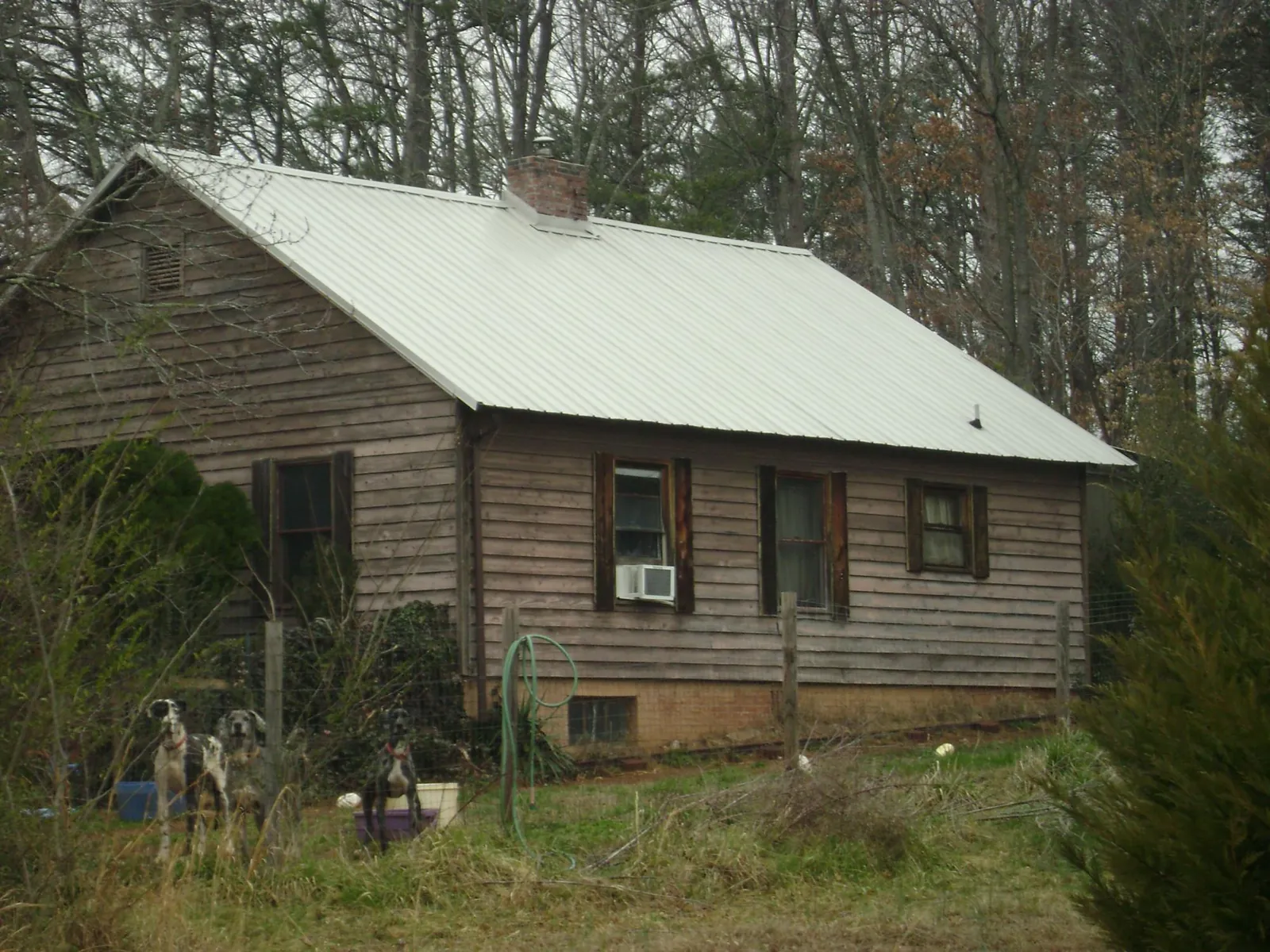 White metal roof on an old wood sided farmhouse, from a Asphalt Shingle Roof Repair job in Hemlock
